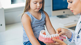 Young girl and dentist looking at model of the mouth