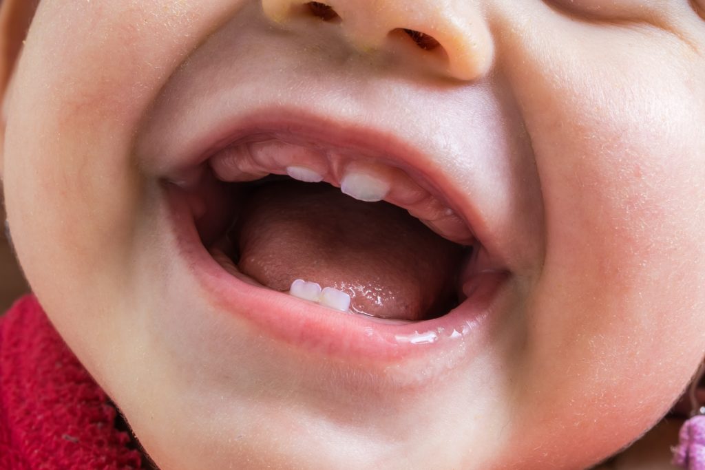 Closeup view of a baby's first teeth